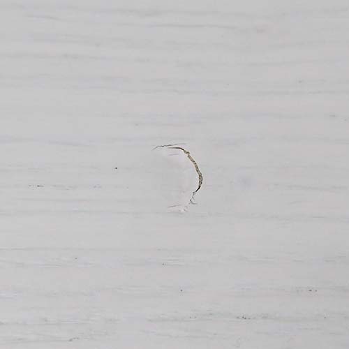 テーブルの修理事例:打ち傷の部分補修