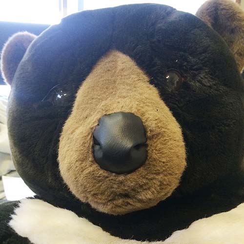 クマのぬいぐるみの鼻を作り替え