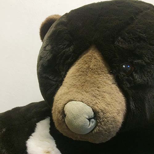 クマのぬいぐるみの鼻を作り替え